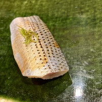 築地青空三代目別邸 - 