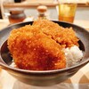 新潟カツ丼 タレカツ 心斎橋店