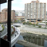 山茶花 - 眺望（宝塚駅方面）