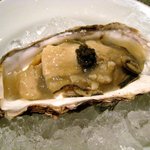Restaurant27 - ('09/11)雄勝産牡蠣のポッシェレモン風味のクリームとガラムマサラ風味のジュレキャビア添え