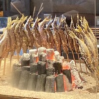 たでの葉 - 岐阜の鮎