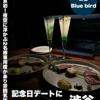 渋谷 Blue bird - 