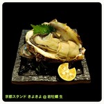京都スタンド きよきよ - 