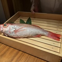 のどぐろ専門 銀座中俣 極 - 本日ののどぐろ