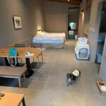 Regina Resort Karuizawa Mikage Yosui - 房间