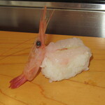 ていね鯉寿し - 