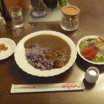 なちゅらる オアシス珈琲 - ナチュラル玄米カレー　ミニサラダ付　1100円
            