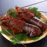 難波 寿司 まつもと - 