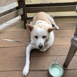 Merengue 鹿島店 - 