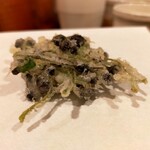 天白 - みずむかご