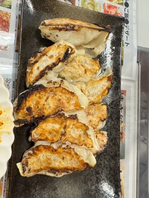 ぎょうさ フード総柄Tシャツ（GYOZA SABAKAN）[商品：PN19AW-104R