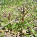 来来 - 俺は、早々に戦線離脱。田舎らしい風景や、のどかな環境を楽しむことに勤しんだ。