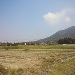 来来 - 山口農園というイチゴ狩りが出来るところ。早い者勝ちの全域開放ルールです。