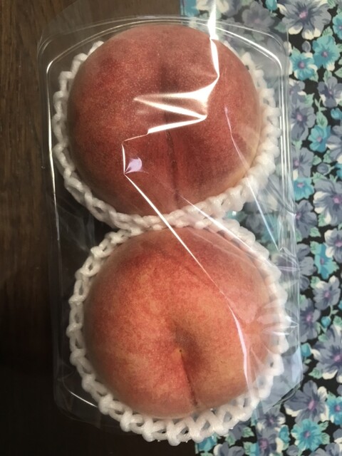 国見SA下り線ショッピングコーナー - 貝田（その他）の写真