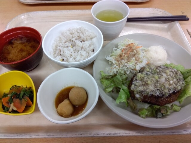 Balance Shokudo IKOTTO Nagoya Ten photo 3