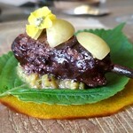 レヴォ - すっぽん