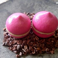 レヴォ - メレンゲ赤ビーツ