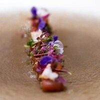 レストラン・ランス・ヤナギダテ - 2024.9 串本産本鮪マリネ ハーブ 木の芽 オリーブ わさび すいか