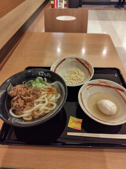 はなまるうどん 泉パークタウンタピオ店 - 泉中央（うどん）の写真