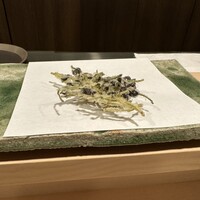 天白 - 