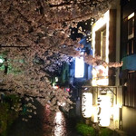 ザ・コモン・ワン・バー・キョウト - 高瀬川の夜桜