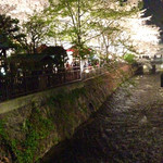 ザ・コモン・ワン・バー・キョウト - 高瀬川の夜桜