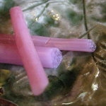 山茶花 - ショウガじゃない所がニクい