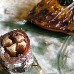 山茶花 - みためにもきれい