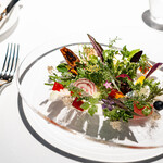 レフェルヴェソンス - 