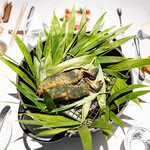 レフェルヴェソンス - 