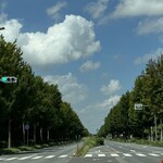 割烹 一の矢 - 一の矢入り口。視程が良ければこの道の先、真正面に日光男体山が見える