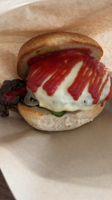 Seed（シード） - 五稜郭公園前（カフェ）の写真