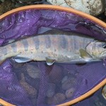 木曽市場れすとらん - 