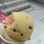 アミ コーノ - パッションフルーツ大好き。今年も食べれてよかった