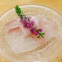 鮨　まつ本 - 