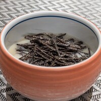 Kashu - 