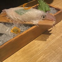 磯ぎよし 天神店 -  磯ぎよし 天神店 -