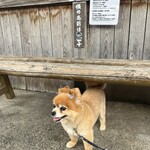 亀清 - 近くのわんちゃん(^ ^)