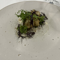 MAISON LAFITE - 