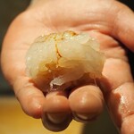 鮓 みずき - 追加：白海老