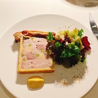Loiseau de France - 