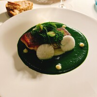 Loiseau de France - 