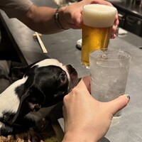 京都 鉄板焼 grow - 