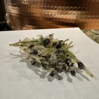 天白 - 