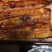 うなぎ割烹 大江戸 - 