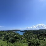 DRIVE IN リカリカワルミ - 