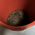 蔵元料理 マルト醤油 - 半年寝かせた醤油の原料・もろみちゃん(　ﾟдﾟ)