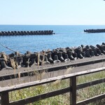 光る海 - 光る海