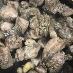 炉端あほう鳥 - 