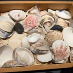 Maison de Fujii - どこかにマドレーヌ